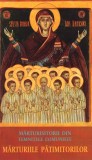 Marturiile patimitorilor. Marturisitorii din temnitele comuniste - Areopag