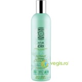 Sampon Antimatreata pentru Scalp Sensibil cu Extract de Pelin Ecologic/Bio 400ml