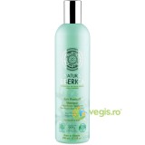 Sampon Antimatreata pentru Scalp Sensibil cu Extract de Pelin Ecologic/Bio 400ml