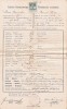 A3350N Testimoniu scolastic Romulus Mioc (viitor primar Petroșani, prefect al județului Hunedoara), 1899, Gimnaziul rom&acirc;n greco-catolic din Beiuș