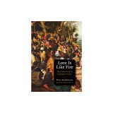 Love Is Like Fire: The Confession of an Anabaptist Prisoner