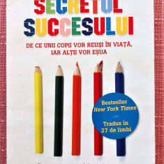 Secretul succesului. Editura Litera, 2015 - Paul Tough