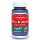 Pau D'Arco 60 capsule, Herbagetica, 500mg, Extract Premium, Supliment Imunitate