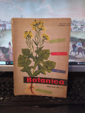 Sanielevici și dabija, Botanică, manual clasa V, București 1964, 144