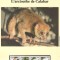 Congo 1997 - Calabar Potto, Set WWF, 6 poze, MNH, (vezi descrierea)