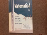Matematica manual pentru clasa a xi-a Ion D ION