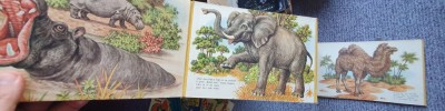 Jozef Pavlovic - Hai cu noi in Africa (1985), 12 pagini cartonate, stare buna foto