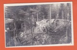 AMS - CP CARPATI, UNGARIA
