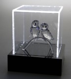 Cumpara ieftin Cub acrilic iluminat LED, Light Cube, pentru prezentare