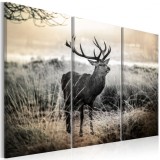 Cumpara ieftin Tablou - Dangerous Horns I 90x60 cm