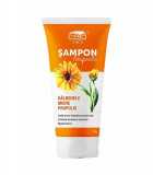 Sampon galbenele, propolis si miere, 200ml, Ceta Sibiu