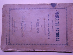 Pomaritul rational pentru usul poporului, 1928, Cernauti, Grigorie Halip,210 pg foto