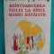 Dumitru Tepeneag &ndash; Reintoarcerea fiului la sanul mamei ratacite ( prima editie )