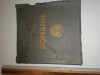 RAR ALBUM FILATELIC ROMANIA - FRAGET