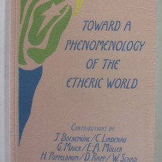 TOWARD A PHENOMENOLOGY OF THE ETHERIC WORLD by J. BOCKEMUHL ...W. SCHAD , 1985