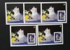 TURKMENISTAN-PISICI-5X 1COLITA MICA-NEDANT.-MNH**-TU PLR 65A, Asia, Fauna