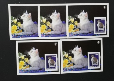 TURKMENISTAN-PISICI-5X 1COLITA MICA-NEDANT.-MNH**-TU PLR 65A foto
