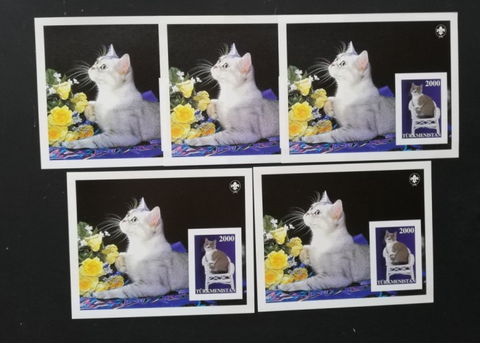 TURKMENISTAN-PISICI-5X 1COLITA MICA-NEDANT.-MNH**-TU PLR 65A