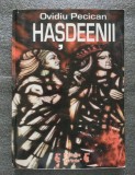 Ovidiu Pecican - Haşdeenii