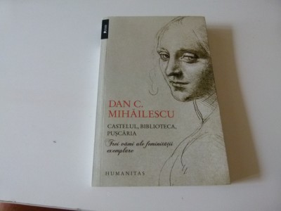 Castelul, biblioteca, puscaria- -Dan Mihailescu foto