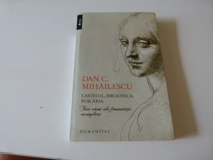 Castelul, biblioteca, puscaria- -Dan Mihailescu