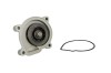 Pompa apa VW GOLF PLUS (5M1, 521) (2005 - 2013) THERMOTEC D1W056TT