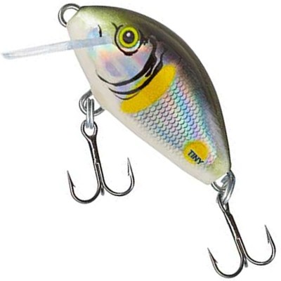 Vobler SALMO Tiny Floating, Smelt, 3cm, 2g, 1buc/pac foto