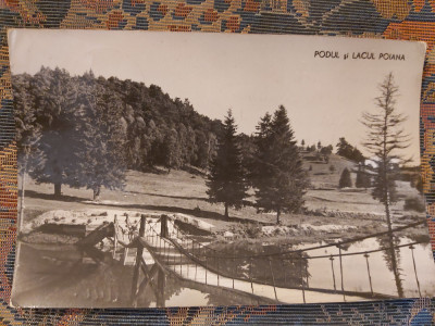 Romania, RPR, Poiana Stalin, Podul si Lacul Poiana, necirculata foto