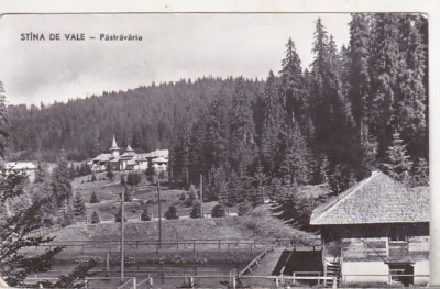 bnk cp Stana de Vale - Pastravaria - circulata foto