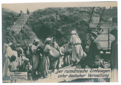 1043 - ETHNIC Gypsy, Romania - old postcard ( 17/12 cm ) - unused foto