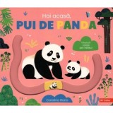 Hai acasa, pui de panda - Carolina Buzio