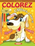 Labus. Colorez catelul Labus &ndash; Petru Ghetoi