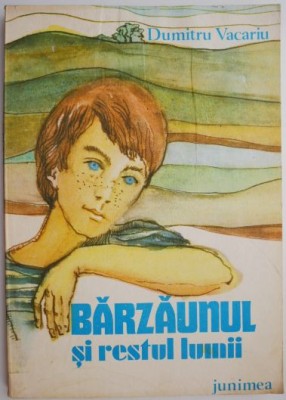 Barzaunul si restul lumii &amp;ndash; Dumitru Vacariu foto