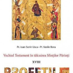 Vechiul Testament in talcuirea Sfintilor Parinti: Profetii mici - Ioan Sorin Usca, Vasile Bora