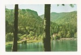 RF14 -Carte Postala- Tusnad, Lacul Ciucas, necirculata