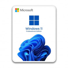Stick USB cu licenta digitala Windows 11 Professional Retail