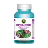 Hyper-Pros 60cps Hypericum, Hypericum Plant