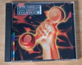 Peter Gabriel - Secret World Live 2CD (1994)