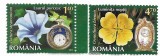 Romania - Ceasul florilor II, 2013