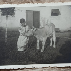Fata cu un vitel, Romania interbelica// fotografie