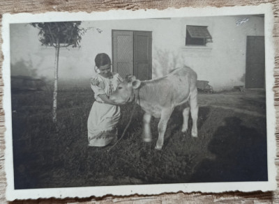 Fata cu un vitel, Romania interbelica// fotografie foto