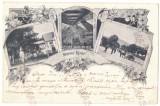 5539 - OCNA MURES, Mures, Litho, Romania - old postcard - used - 1901, Circulata, Printata