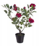 Cumpara ieftin Floare artificiala Isabel Rose, Bizzotto, 51x39x66 cm, rosu
