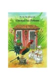 Cumpara ieftin COCOSUL LUI PETTSON