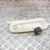 Vas Expansiune Renault Zoe BFM_ 2015 OEM 217101652R