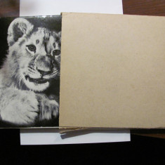 Ion MICLEA "Povestea unui Pui de Leu" album foto / in cutia de carton originala