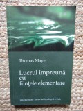 LUCRUL IMPREUNA CU FIINTELE ELEMENTARE de THOMAS MAYER