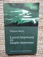 LUCRUL IMPREUNA CU FIINTELE ELEMENTARE de THOMAS MAYER foto