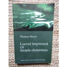 LUCRUL IMPREUNA CU FIINTELE ELEMENTARE de THOMAS MAYER