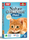 Joc - Nature Challenge - Pisici | Ludicus